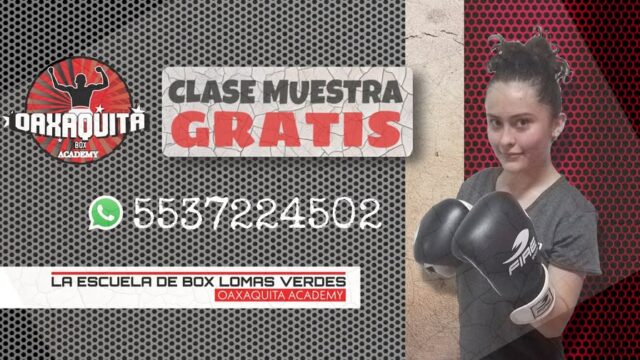 box-lomas-verdes-1