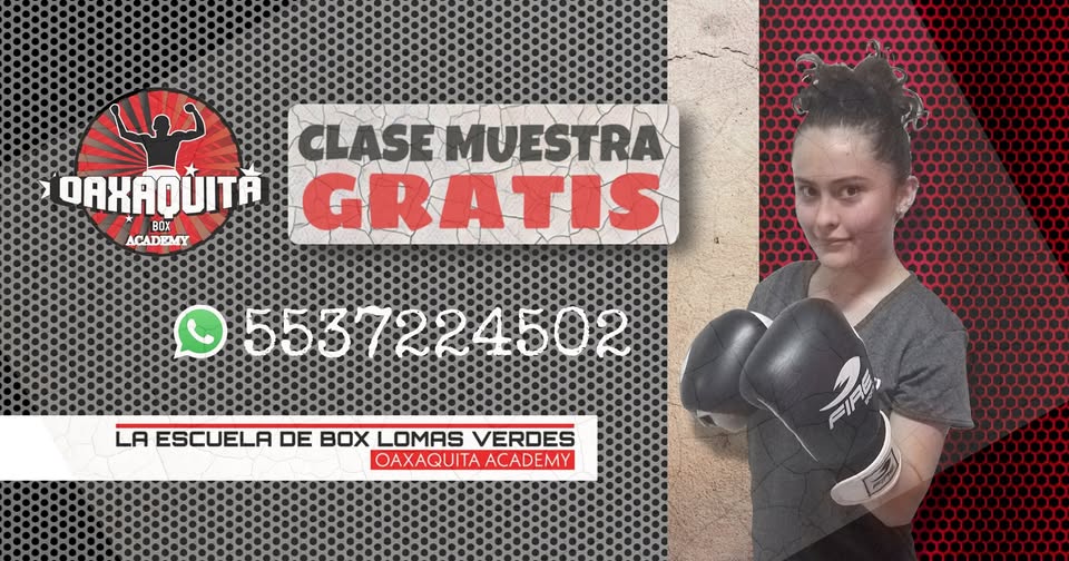 box-lomas-verdes-1